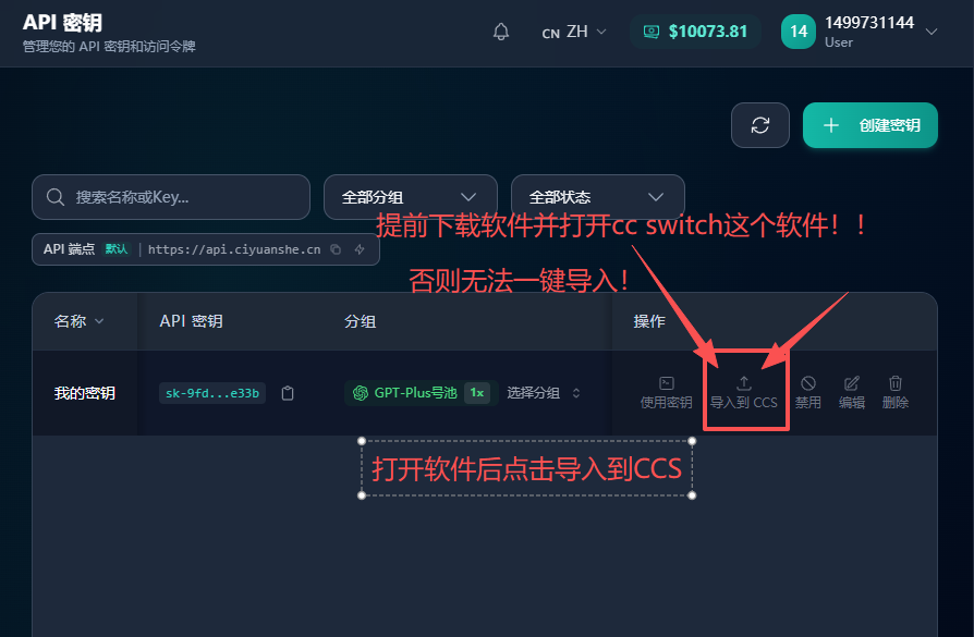导入到 CC Switch 操作截图